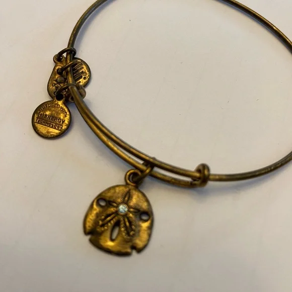 Alex and Ani Gold Tone Sand Dollar Charm Bracelet with Swarovski Crystal - Picture 4 of 5